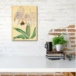 «Cattleya Labiata 2» в интерьере с кирпичной стеной