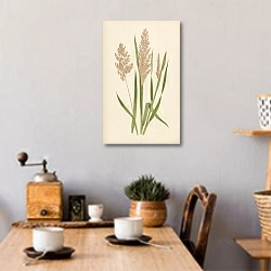 «Holcus Lanatus 1» в интерьере кухни в стиле ретро