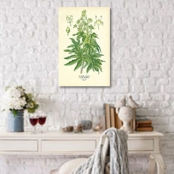 «Japanese Aralia (Fatsia Japonica) 1» в интерьере комнаты с белым столом