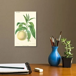 «Pecher nain Daguin» в интерьере кабинета с бежевыми стенами