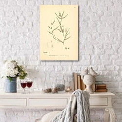 «English Botany №228 1» в интерьере комнаты с белым столом