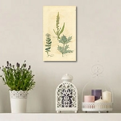 «Dyers Weed, Eye Bright, Eringo 1» в интерьере комнаты с лавандовыми свечами