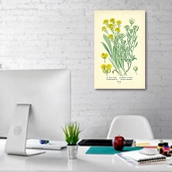 «Gold Dust, Sweet Alyssum 1» в интерьере офиса в белом цвете