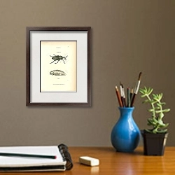 «Curculio» в интерьере кабинета с бежевыми стенами