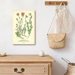 «Fig Marigolds 1» в интерьере прихожей с деревянным декором