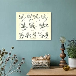 «Искусство верховой езды» в интерьере комнаты со старинной лампой