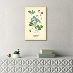 «Common Hepatica (Anemone Hepatica) 1» в интерьере комнаты с белым резным комодом