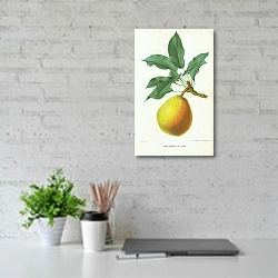 «Peche Coloree de Juillet» в интерьере офиса над столом