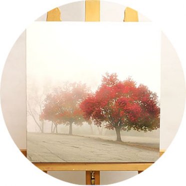 печать фотографий на холсте