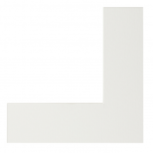 Паспарту 8698