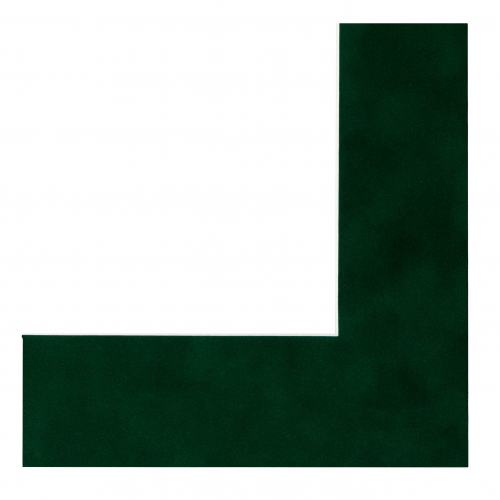 Паспарту 8529.QP