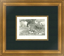 Постер Otter Hunting 4 Постер Otter Hunting 4